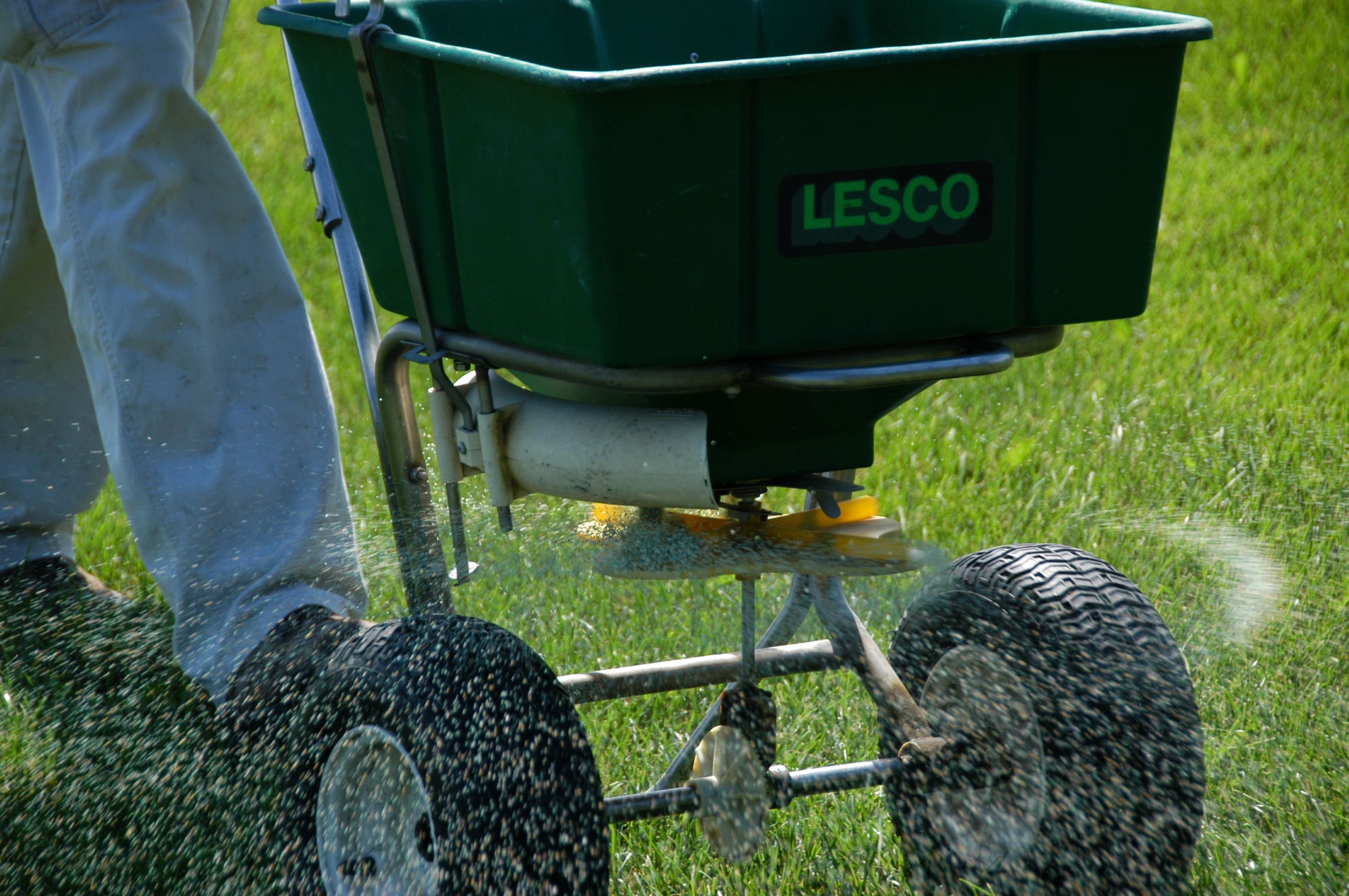 Broadcast fertilizer spreading granular lawn fertilizer